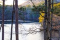 A majestic shot of the still waters of the lake with old tree branches and lush green and autumn colored trees Royalty Free Stock Photo