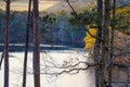 A majestic shot of the still waters of the lake with old tree branches and lush green and autumn colored trees Royalty Free Stock Photo