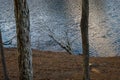 A majestic shot of the still waters of the lake with old tree branches and lush green and autumn colored trees Royalty Free Stock Photo