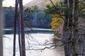 A majestic shot of the still waters of the lake with old tree branches and lush green and autumn colored trees Royalty Free Stock Photo