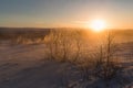 majestic snow-covered icelandic landscape with bare trees and bushes