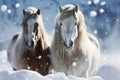 Majestic snowy horses against a serene snowy white background