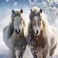 Majestic snowy horses against a serene snowy white background