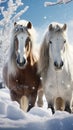 Majestic snowy horses against a serene snowy white background