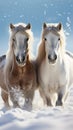 Majestic snowy horses against a serene snowy white background