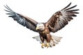 Majestic Soaring Eagle on Transparent Background. AI