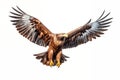 Majestic Soaring Eagle on Transparent Background. AI