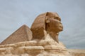 Majestic sphinx sculpture stands guard in front of the iconic pyramids of Giza, Egypt.