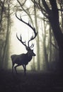 majestic stag in foggy forest