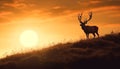 Majestic stag grazes in tranquil meadow, silhouetted against sunset sky generated by AI