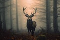 Majestic Stag Regal Deer