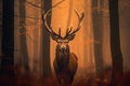 Majestic Stag Regal Deer