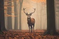 Majestic Stag Regal Deer