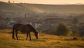 Majestic stallion grazes in tranquil meadow at dawn generated by AI Royalty Free Stock Photo
