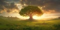 Majestic stand-alone tree atop a hill amidst green field lit by the setting sun, panoramic landscape. Generative AI illustration Royalty Free Stock Photo