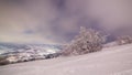 The majestic starry sky over the winter mountain landscape. Night scene. Wonderful tall fir trees with moonlight Royalty Free Stock Photo