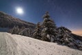 The majestic starry sky over the winter mountain landscape. Night scene. Wonderful tall fir trees with moonlight Royalty Free Stock Photo