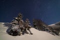 The majestic starry sky over the winter mountain landscape. Night scene. Wonderful tall fir trees with moonlight Royalty Free Stock Photo