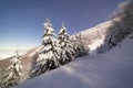 The majestic starry sky over the winter mountain landscape. Night scene. Wonderful tall fir trees with moonlight Royalty Free Stock Photo