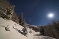 The majestic starry sky over the winter mountain landscape. Night scene. Wonderful tall fir trees with moonlight Royalty Free Stock Photo