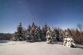 The majestic starry sky over the winter mountain landscape. Night scene. Wonderful tall fir trees with moonlight Royalty Free Stock Photo