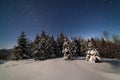 The majestic starry sky over the winter mountain landscape. Night scene. Wonderful tall fir trees with moonlight Royalty Free Stock Photo