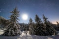 The majestic starry sky over the winter mountain landscape. Night scene. Wonderful tall fir trees with moonlight Royalty Free Stock Photo