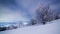 The majestic starry sky over the winter mountain landscape. Night scene. Wonderful tall fir trees with moonlight Royalty Free Stock Photo