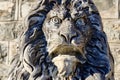 Majestic stone lion statue with intense facial expression Royalty Free Stock Photo
