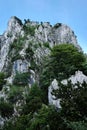 Majestic stone mountain with lush green trees dotting its side in Monte Bre
