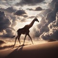 majestic stride of a running giraffe Royalty Free Stock Photo