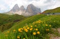 Majestic summer scenery of Pass Sella with wild flowers on green grassy meadows in the foothills