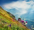 Majestic summer view of Ortisei village. Gorgeous morning scene of Gardena valley, Dolomiti Alps Royalty Free Stock Photo