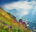 Majestic summer view of Ortisei village. Gorgeous morning scene of Gardena valley, Dolomiti Alps, Royalty Free Stock Photo