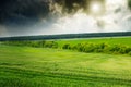 Majestic sunrise over wheat field. Royalty Free Stock Photo