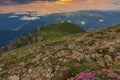 Majestic sunrise and pink flowers in the mountains,Bucegi mountains,Carpathians,Romania Royalty Free Stock Photo