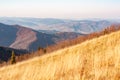 Majestic sunset in mountains landscape. View from high mountain on picturesque landscape autumn Carpathian. Ukraine, Europe Royalty Free Stock Photo