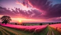 Majestic Sunset Over Vibrant Lavender Fields Royalty Free Stock Photo