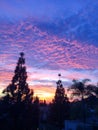 Majestic sunset sunrise over trees Royalty Free Stock Photo