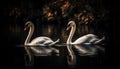 Majestic swan family swimming in tranquil pond generated by AI