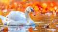 Majestic swan gliding serenely on tranquil countryside pond in a peaceful farm setting Royalty Free Stock Photo