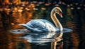 Majestic swan reflects natural beauty at sunrise generated by AI