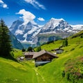Showcase the breathtaking beauty of the Swiss Alps, with snow-capped peaks, lush green meadows