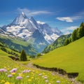 Showcase the breathtaking beauty of the Swiss Alps, with snow-capped peaks, lush green meadows Royalty Free Stock Photo