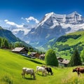 Showcase the breathtaking beauty of the Swiss Alps, with snow-capped peaks, lush green meadows,