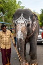 A majestic Tamil temple elephant walks through a busy street in India