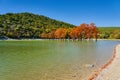 Majestic Taxodium distichum in a gorgeous lake against the backdrop of the Caucasus mountains in the fall. Autumn. October. Sukko