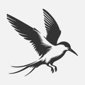 Majestic Tern Silhouette Soaring Across the Sky Royalty Free Stock Photo