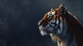 Majestic Tiger Profile Against Dark Smoke Royalty Free Stock Photo