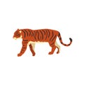 Majestic tiger, side view, wild cat, predator cartoon vector Illustration on a white background